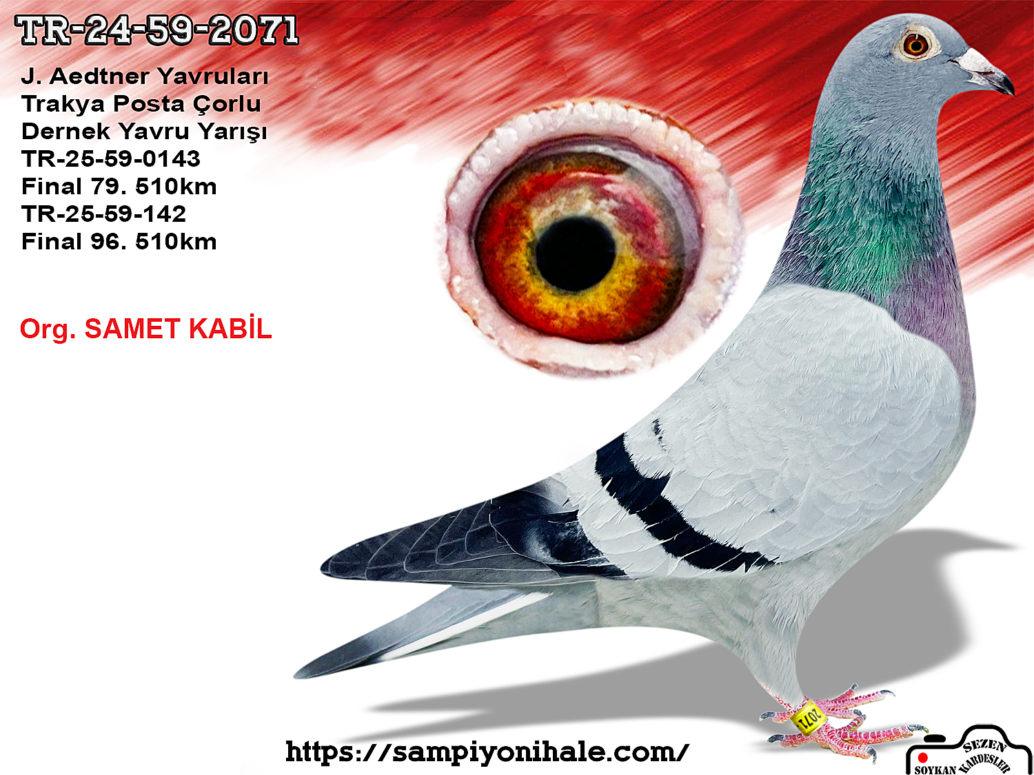 TR-24-59-2071 ROMARİO KING PORSCHE 