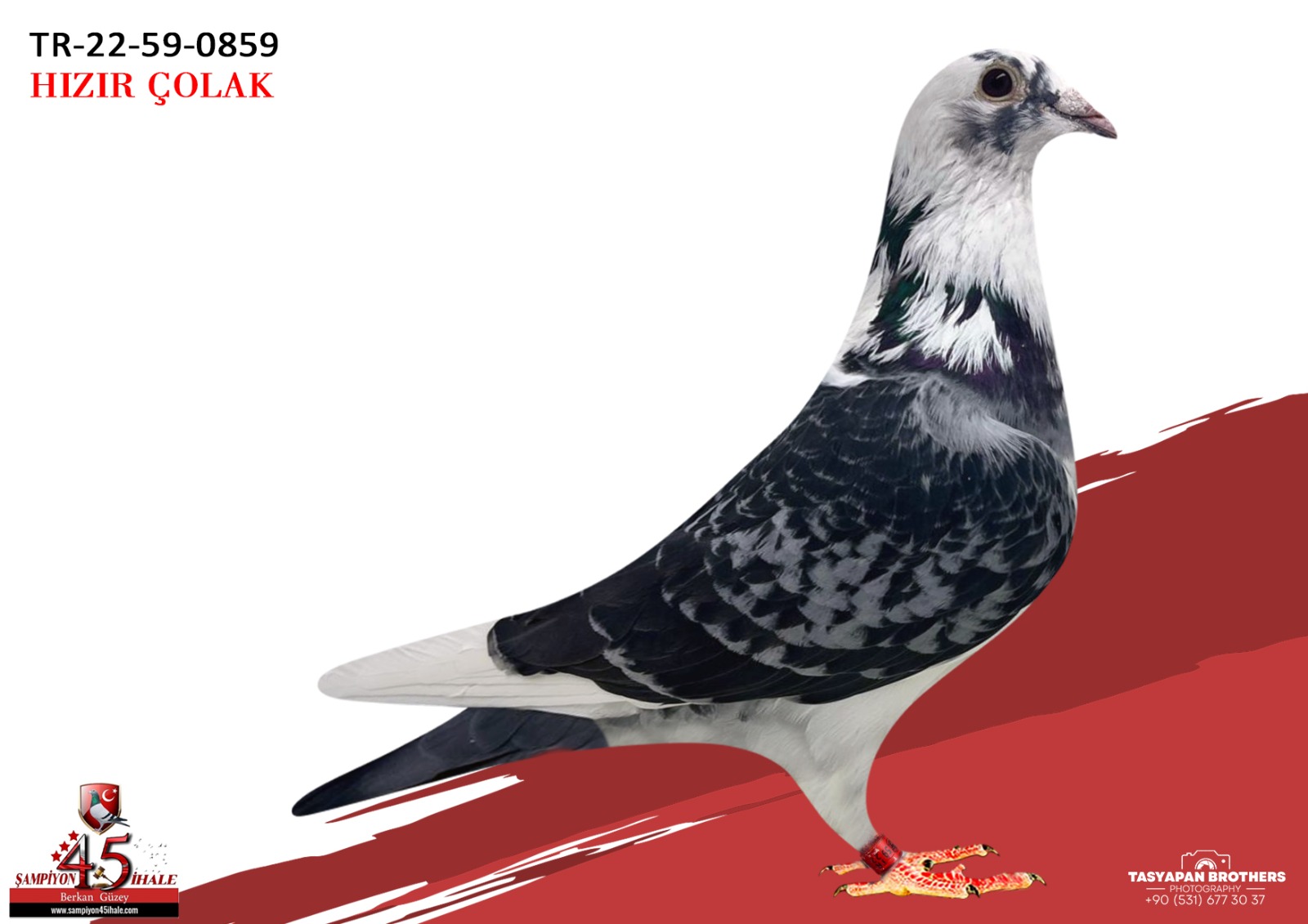 TR-59-0859 PİPA ELİTE CENTER GEERİNCKX 