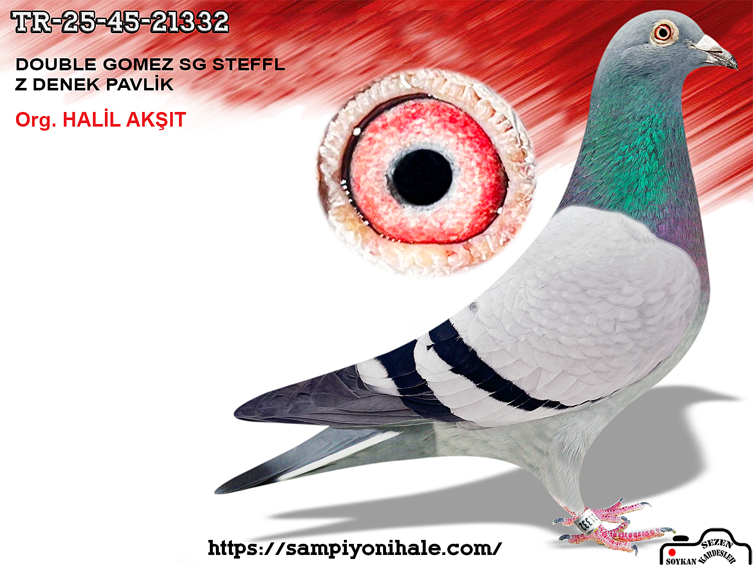 TR-25-45-21332 Z DENEK PAVLİK SG STEFFL 