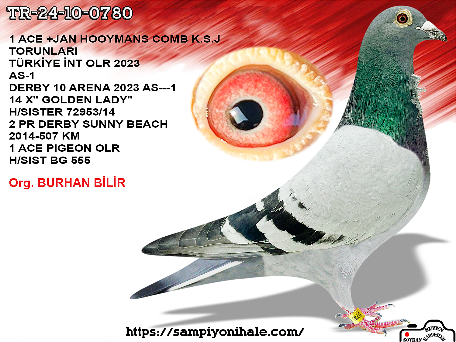 TR-24-10-07080 1 ACE JAN HOOYMANS HOK REİJNEN BOLTON