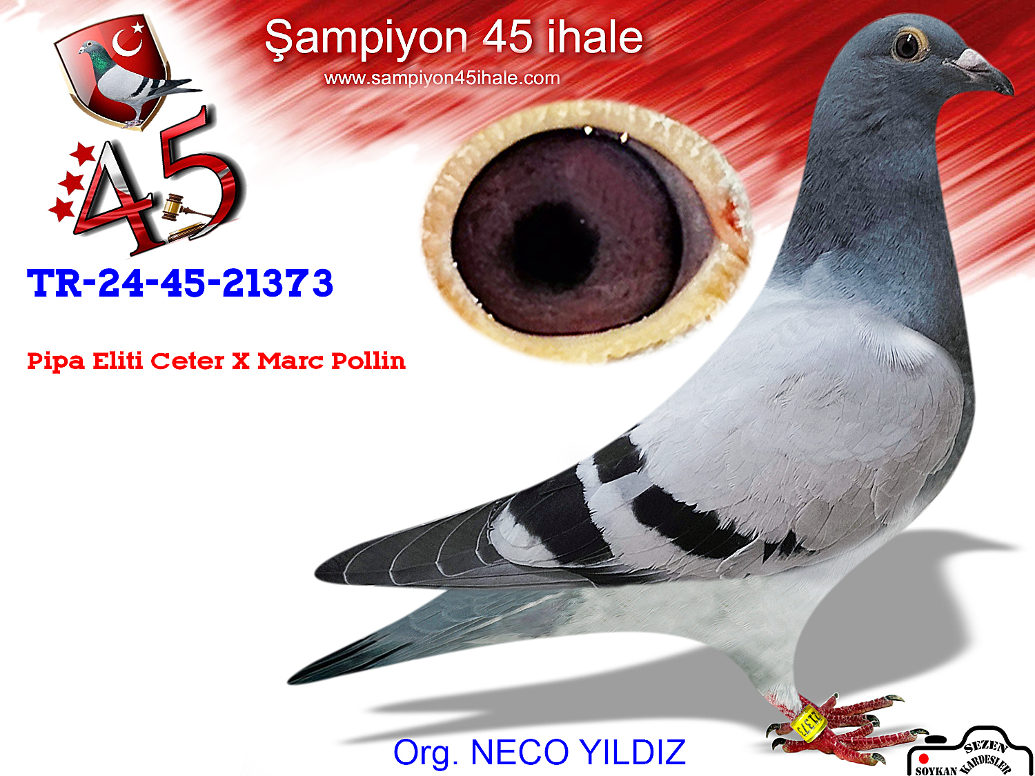 TR24-45-21373 DİŞİ