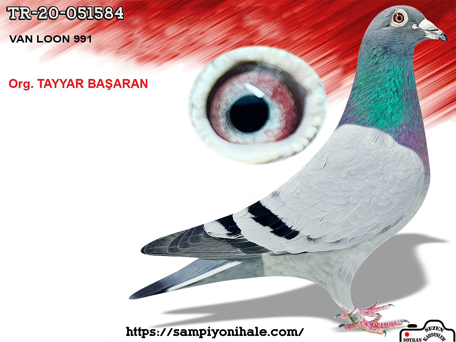 TR-20-051584 VAN LOON 991