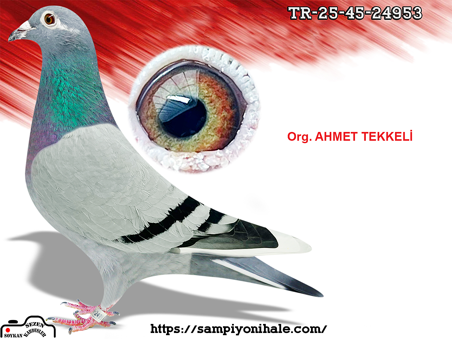 TR-25-45-24953 ORG AHMET TEKKELİ 