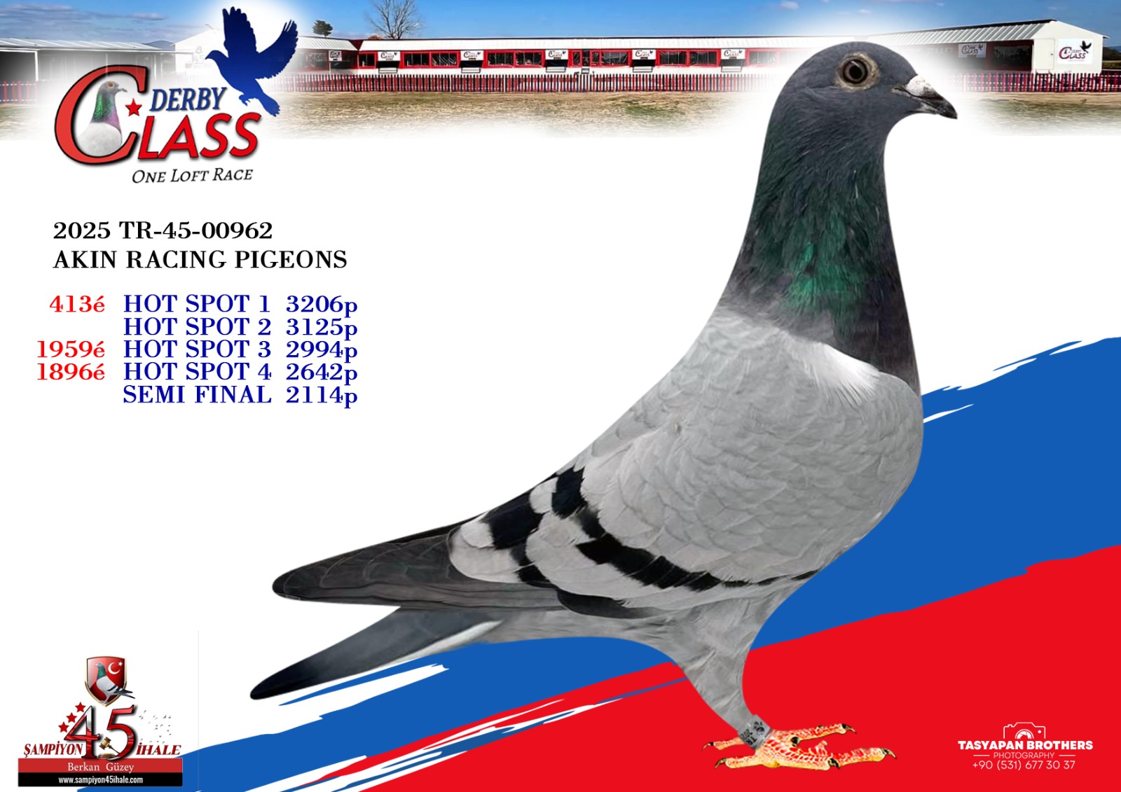 TR-45-00962 AKIN RACİNG PİGEONS 