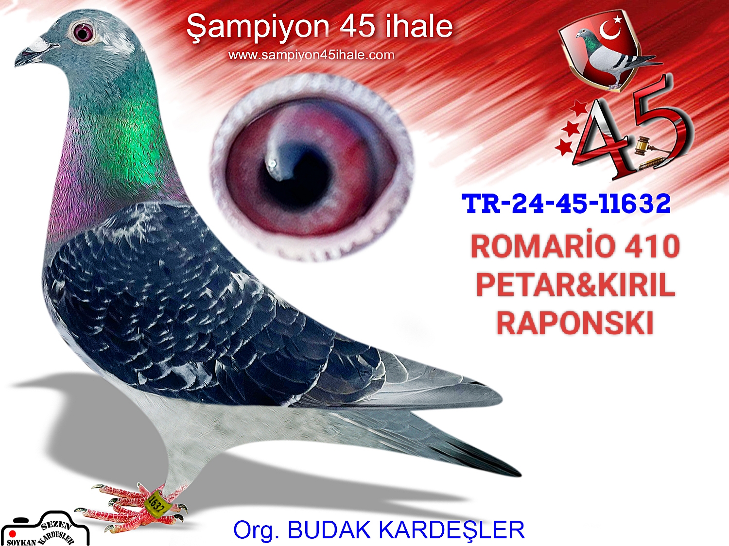 TR-24-45-11632 DİŞİ