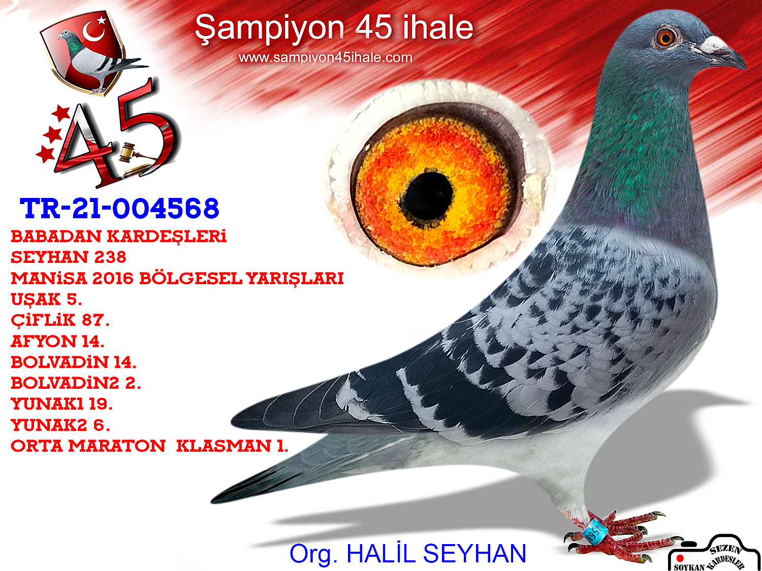 TR-21-45568 DİŞİ