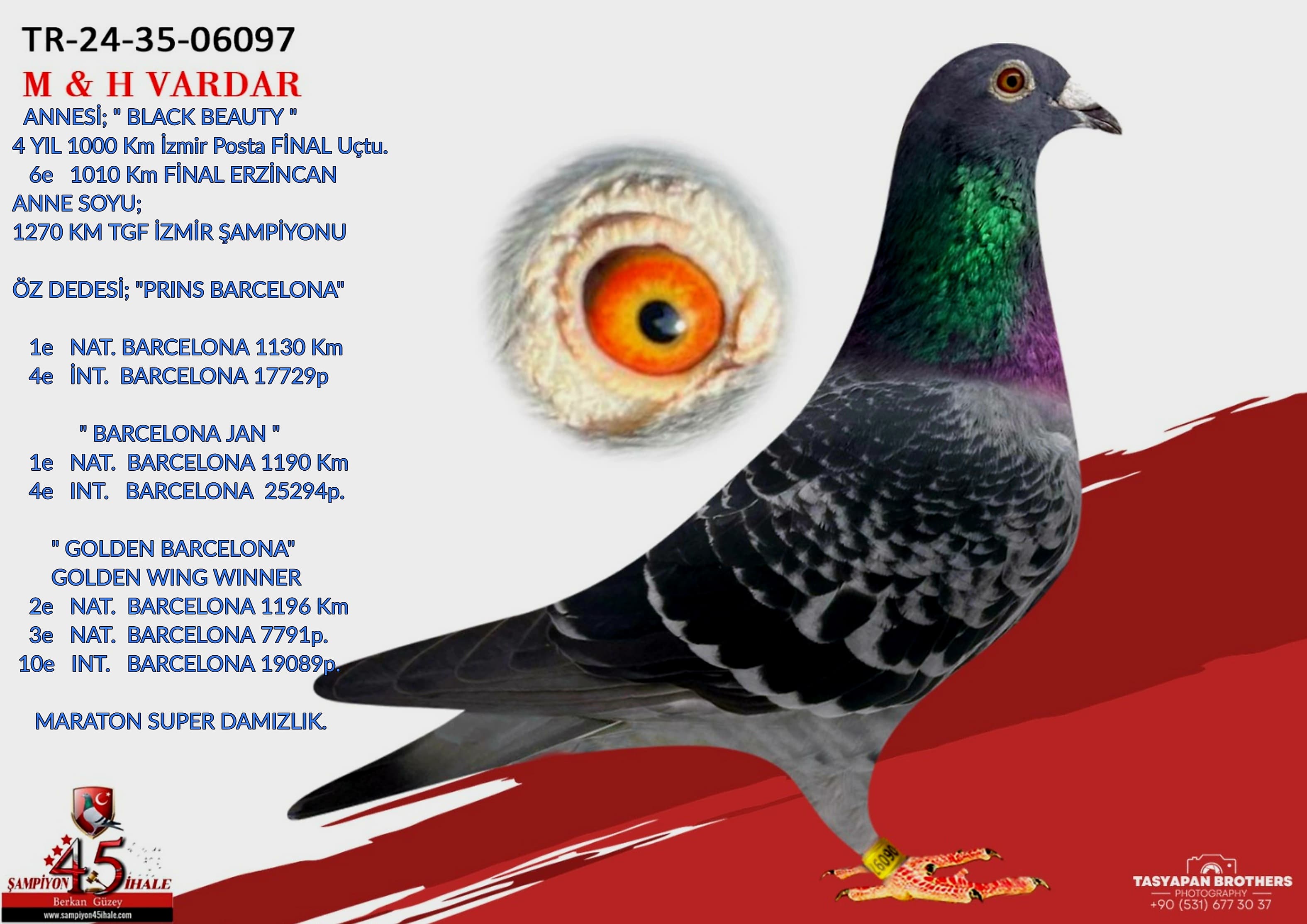 TR-24-35-06097 M & H VARDAR KARDEŞLER 