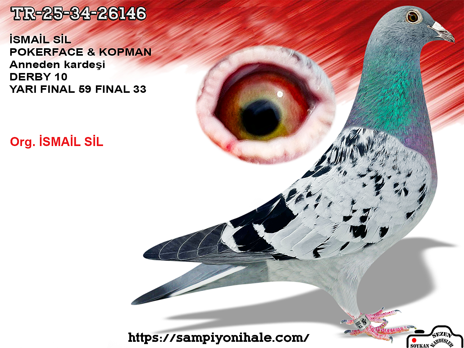 TR-25-34-26146 POKERFACE KOOPMAN ANNEDEN KARDEŞİ DERBY 10 FİNAL 33 YARI FİNAL 59