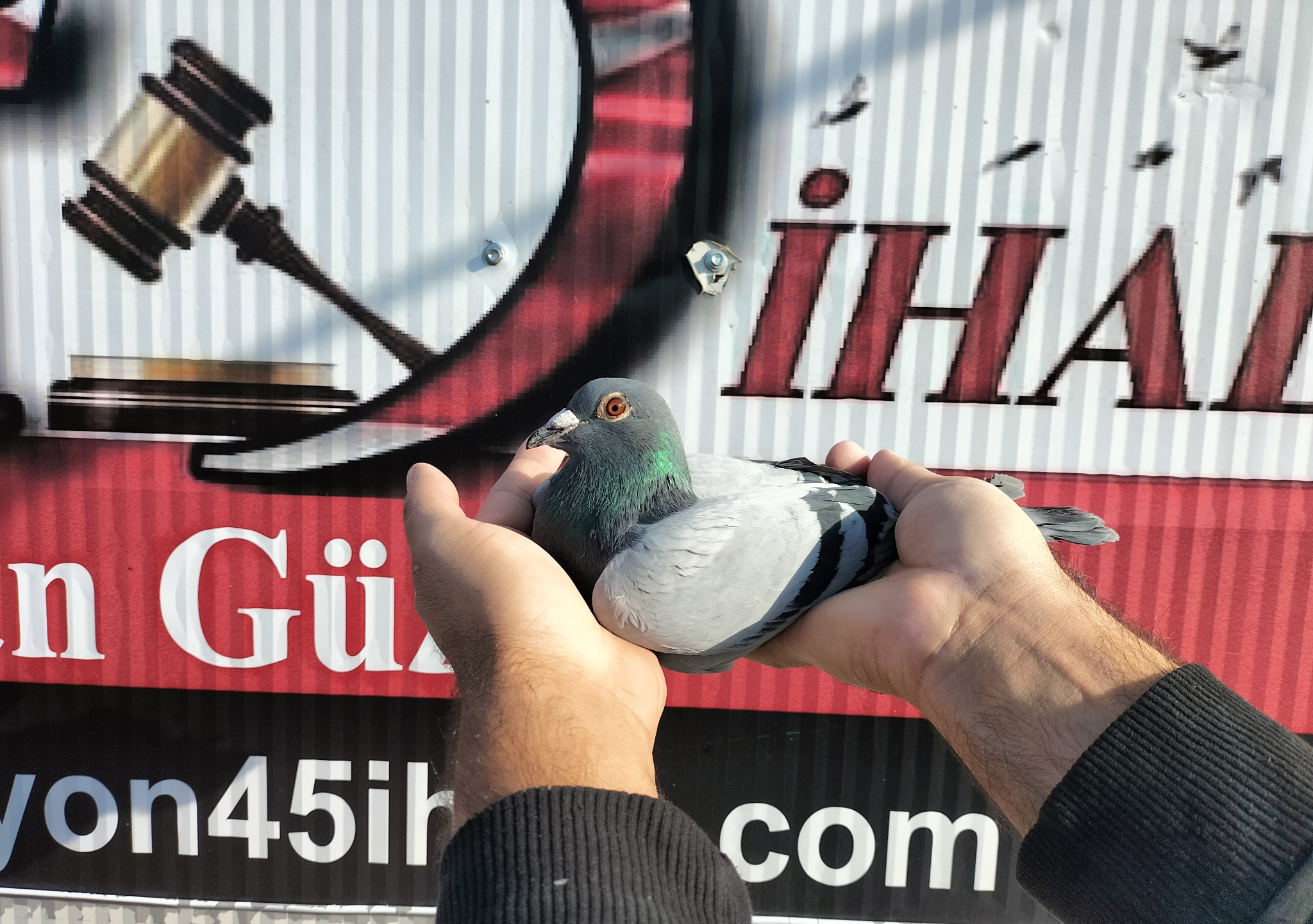 TR-25-21-04777 VAN DEN BULCK DİRK JOS SOONTJENS 