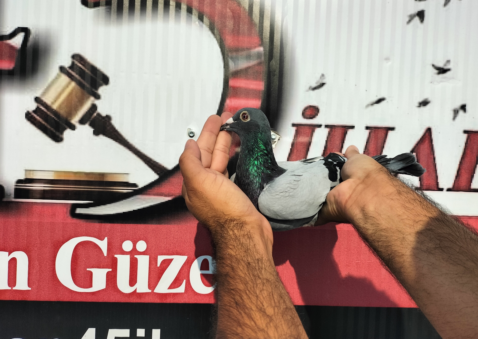 TR-10-04070 NECMİ ÇAKAR 