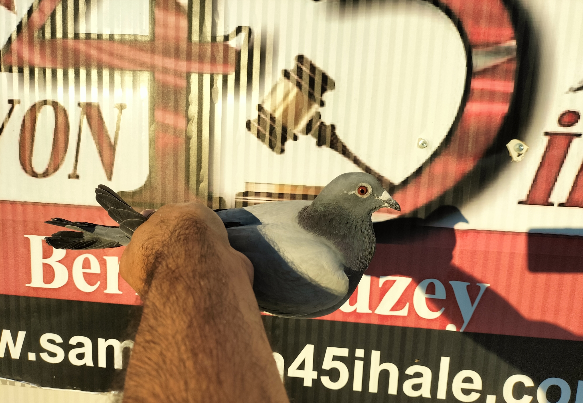 TR-24-10-4100 ORG NECMİ ÇAKAR 