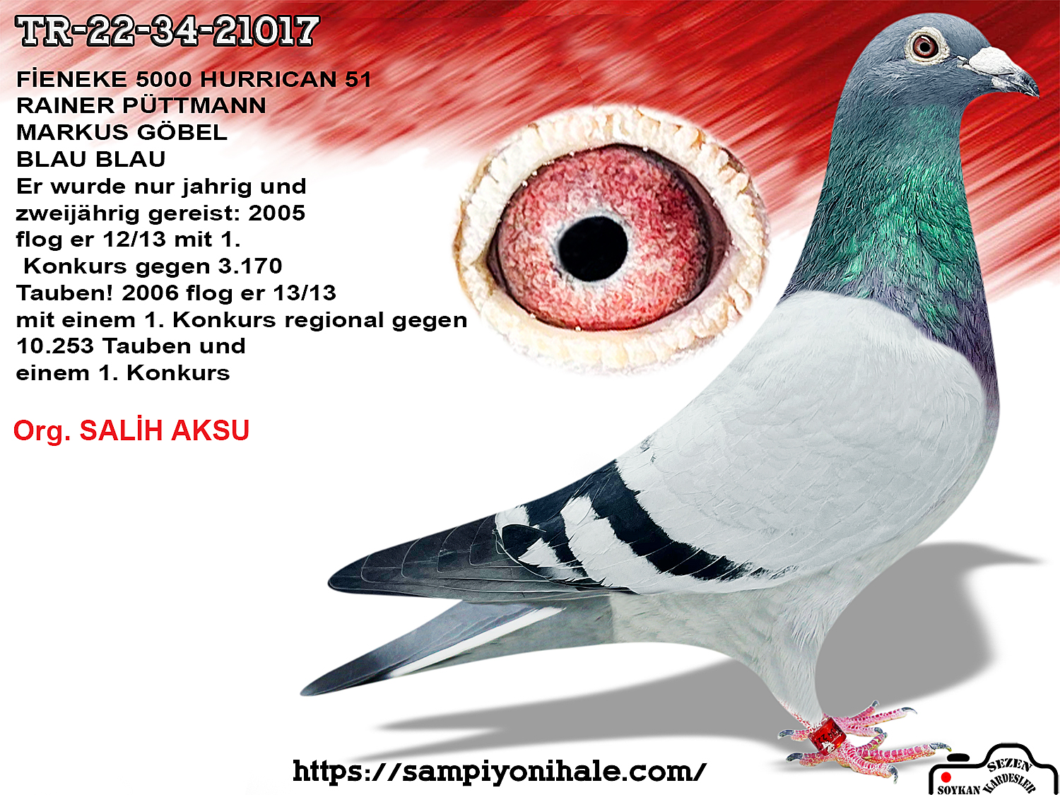 TR-22-34-21017 HURRİCAN 51 JÖRG HALLMANN 