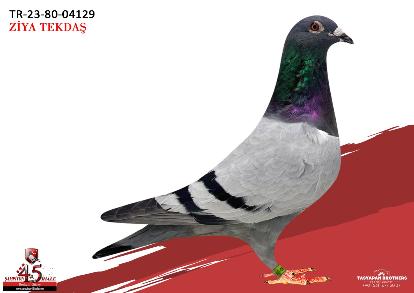 TR-23-80-04129 GİLLETTE AFRİKAN 400 Z DEENEK PAVLİK