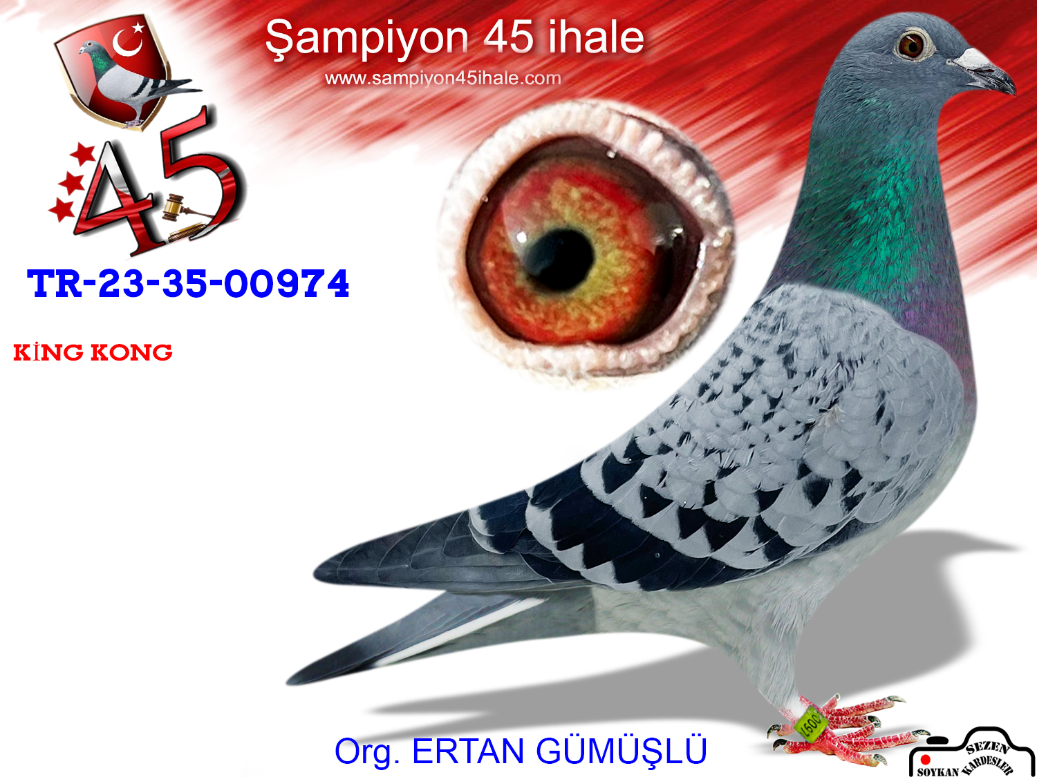 TR-23-35-00974 DİŞİ