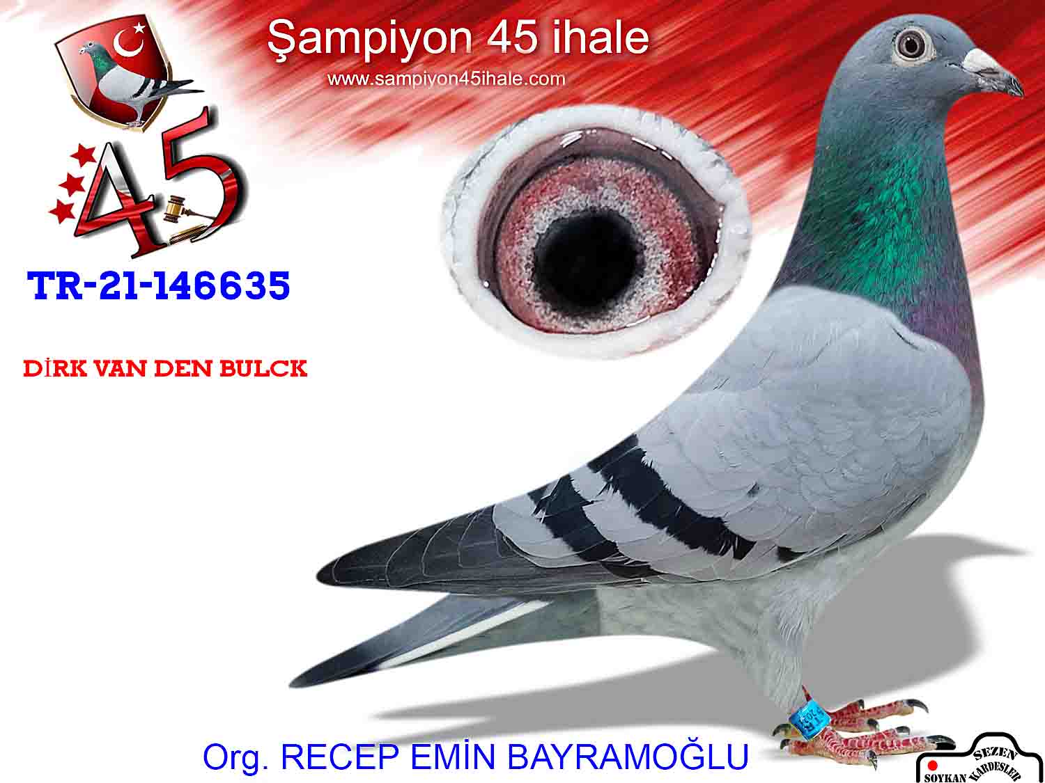 TR-21-146635 DİŞİ