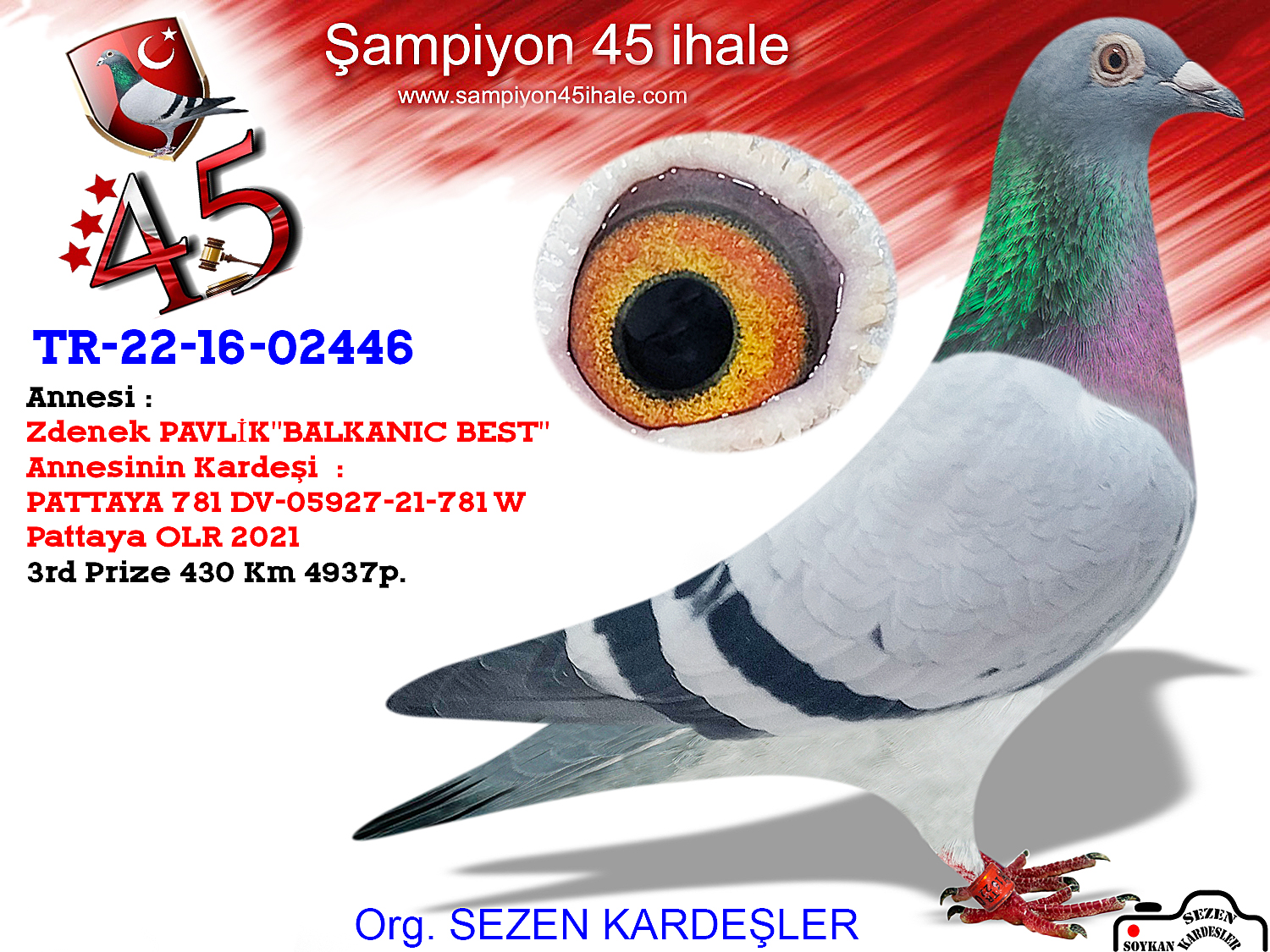 TR-22-16-02446 DİŞİ