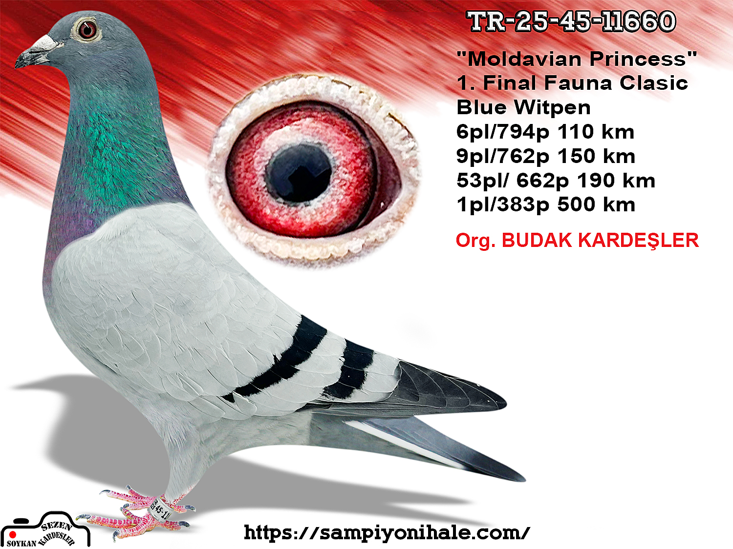 TR-25-45-11660 ROMARİO 410 MISS PATTAYA PRINCES NIKKI