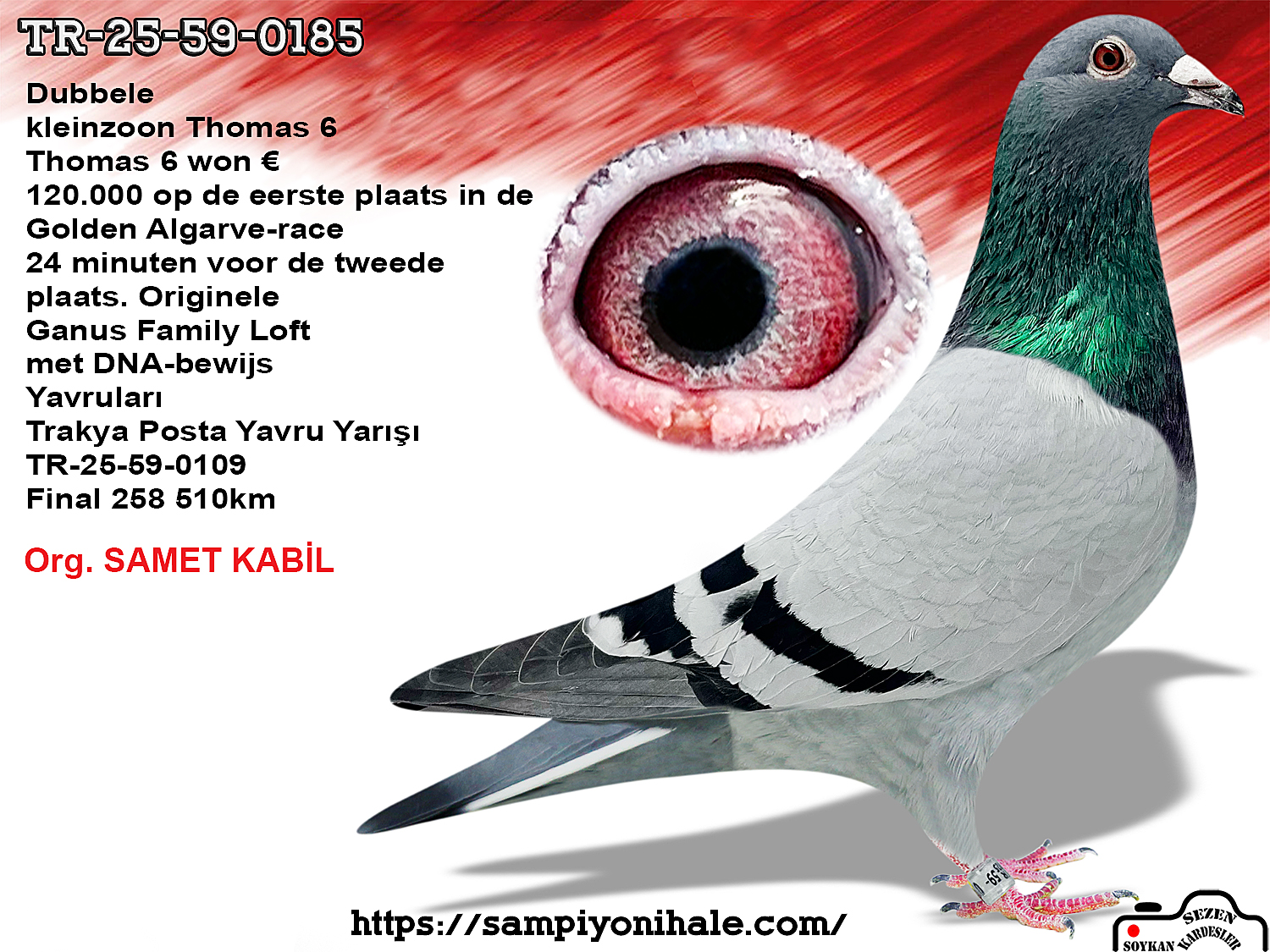 TR-25-59-0185 WOLVERİNE THOMAS 6 