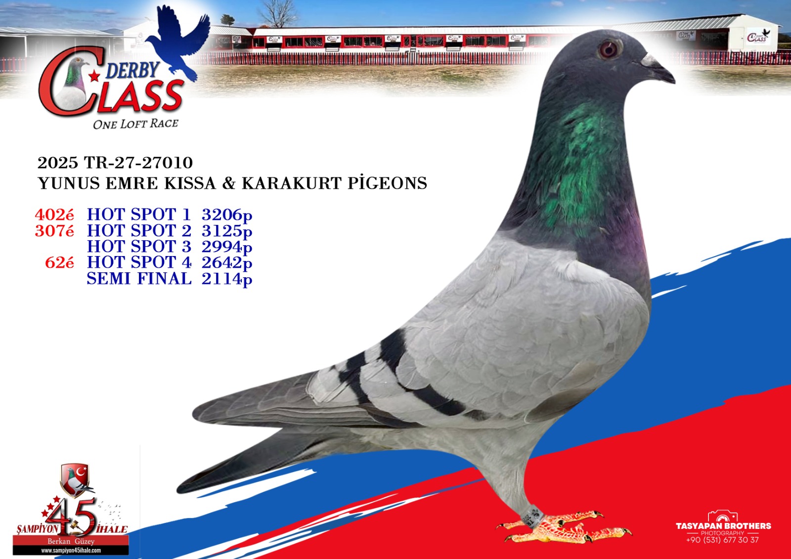 TR-27-27010 YUNUS EMRE KISSA KARAKURT PİGEONS 