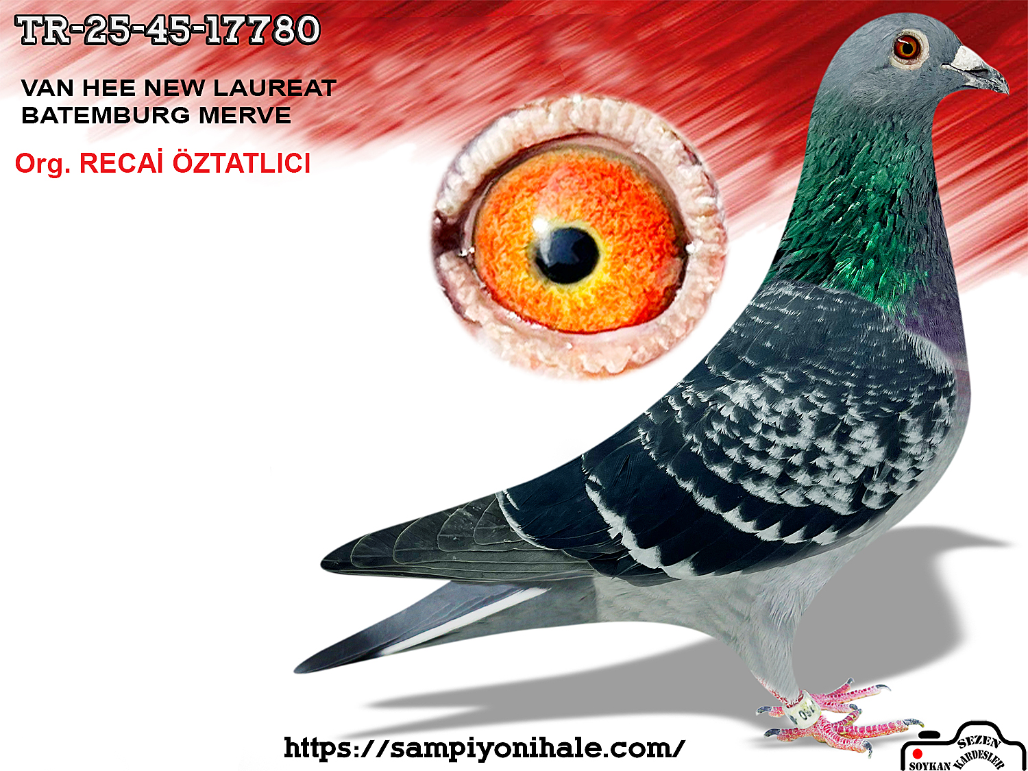 TR-25-45-17780 VAN HEE NEW LAURENT BATENBURG MERVE 