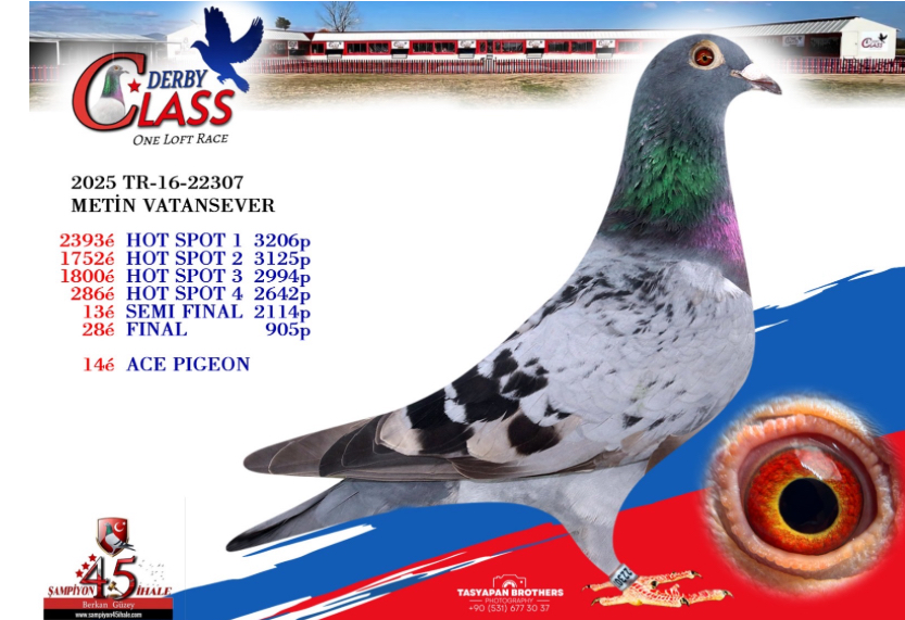 TR-16-22307 DİŞİ 