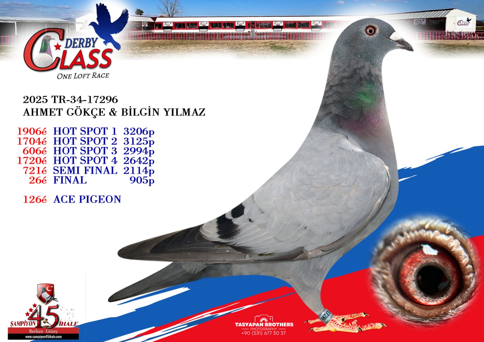TR-34-17296 DİŞİ 
