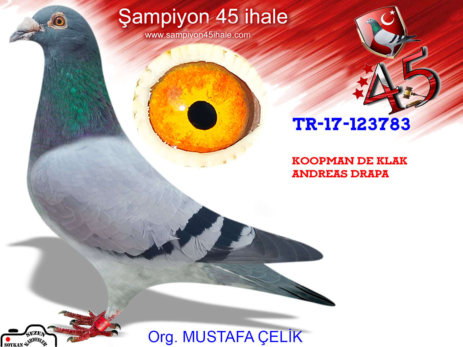 TR-17-123783 ERKEK 