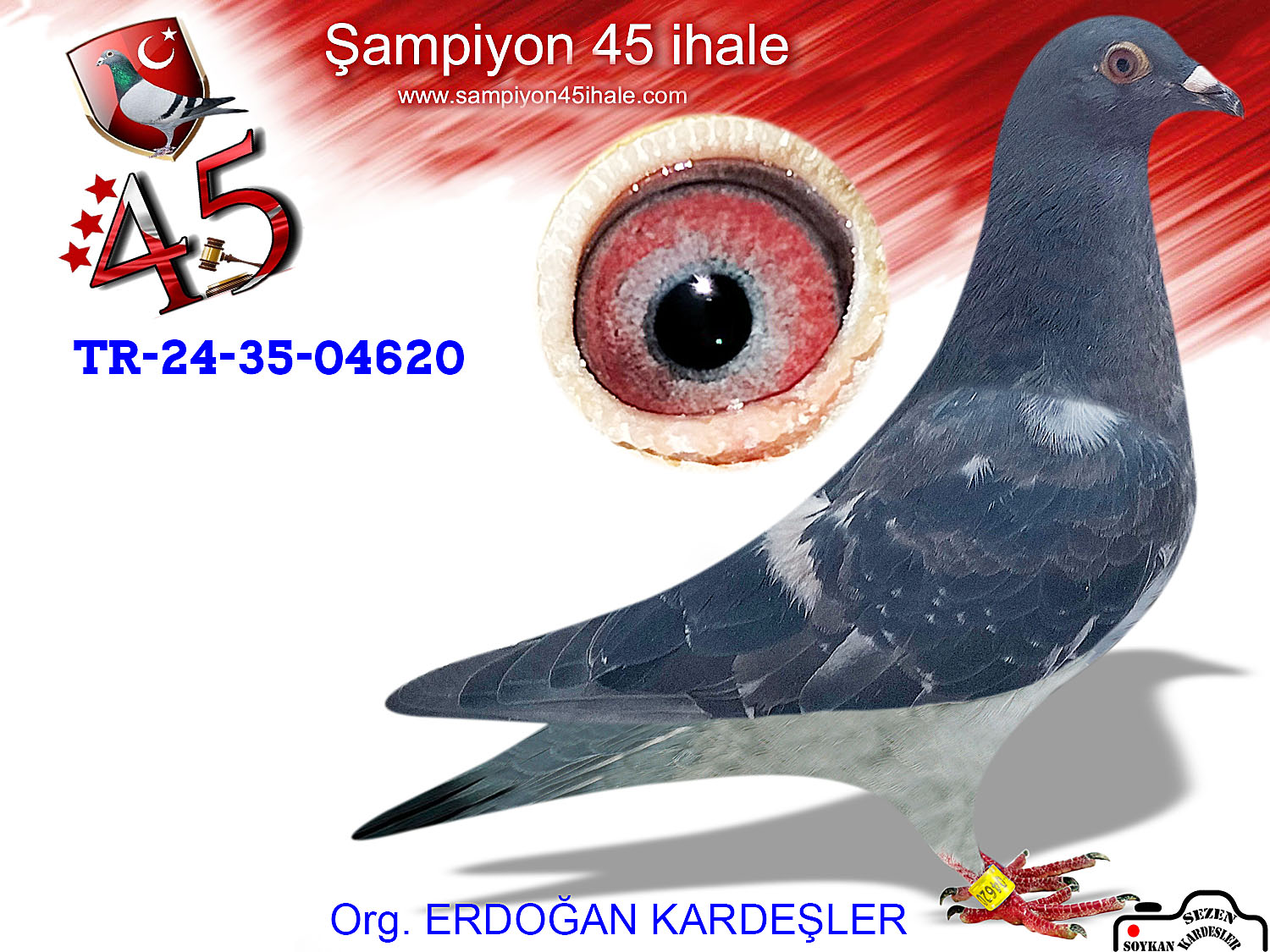 TR-24-35-04620 DİŞİ