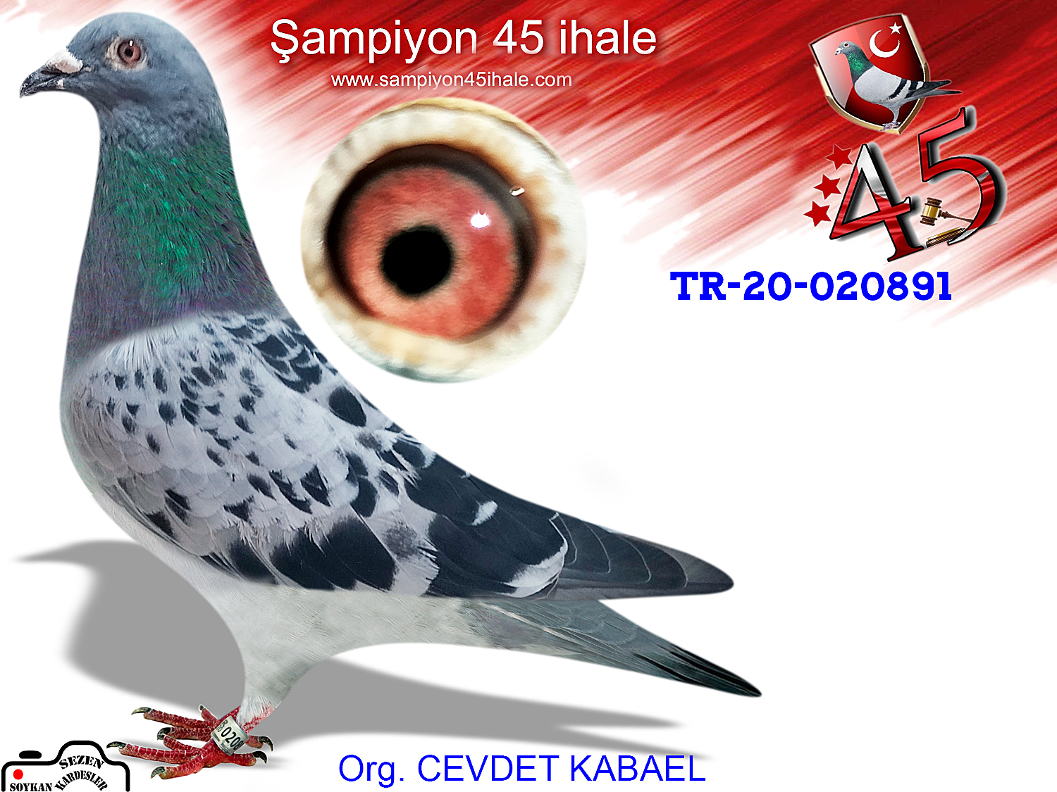 TR-20-020891 DİŞİ