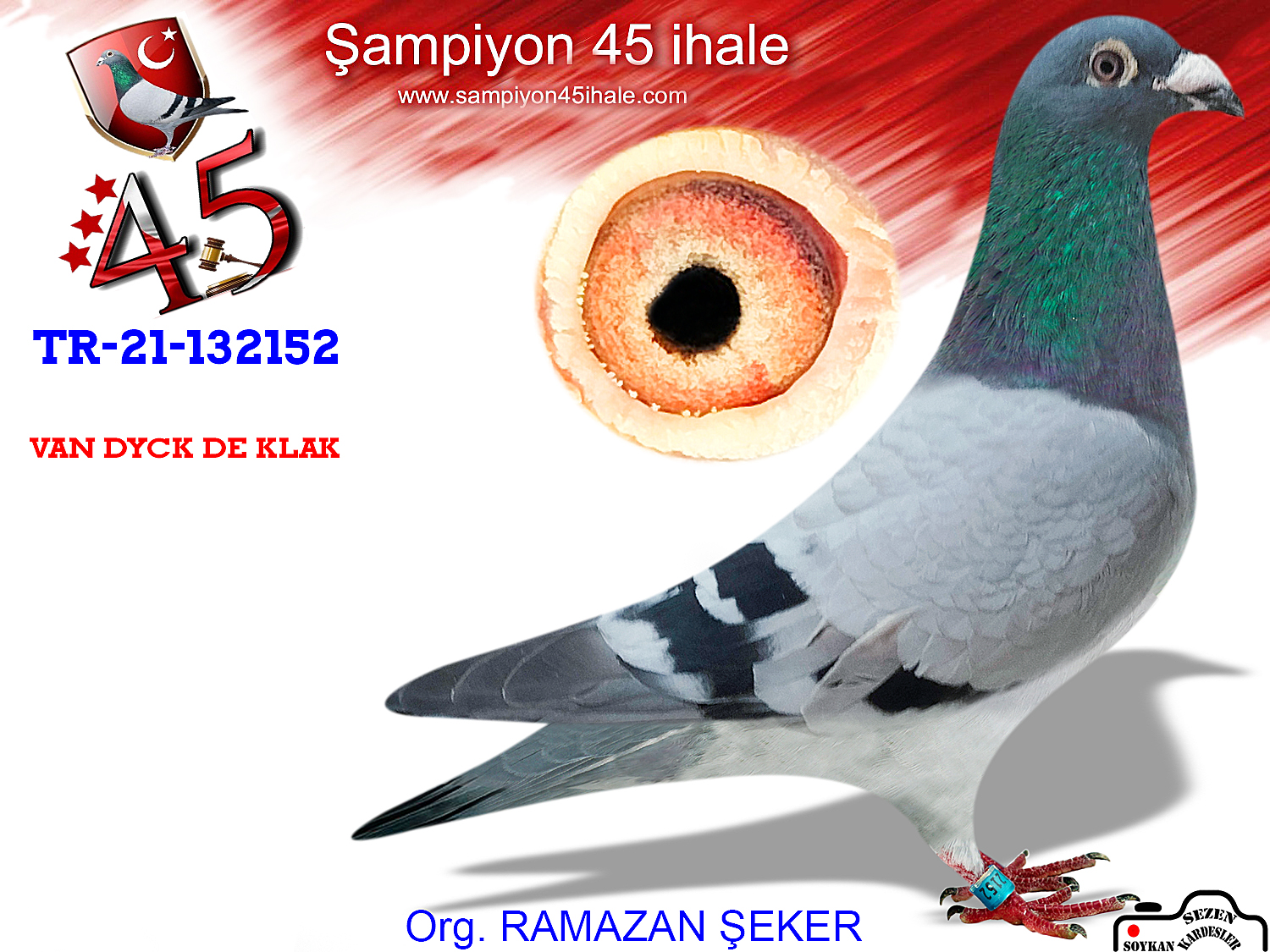 TR-21-132152 DİŞİ