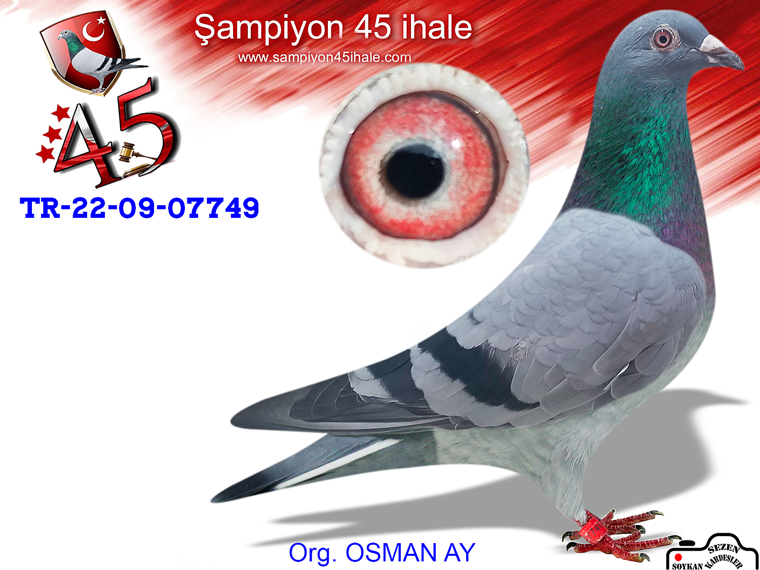 TR-23-09-07749 DİŞİ