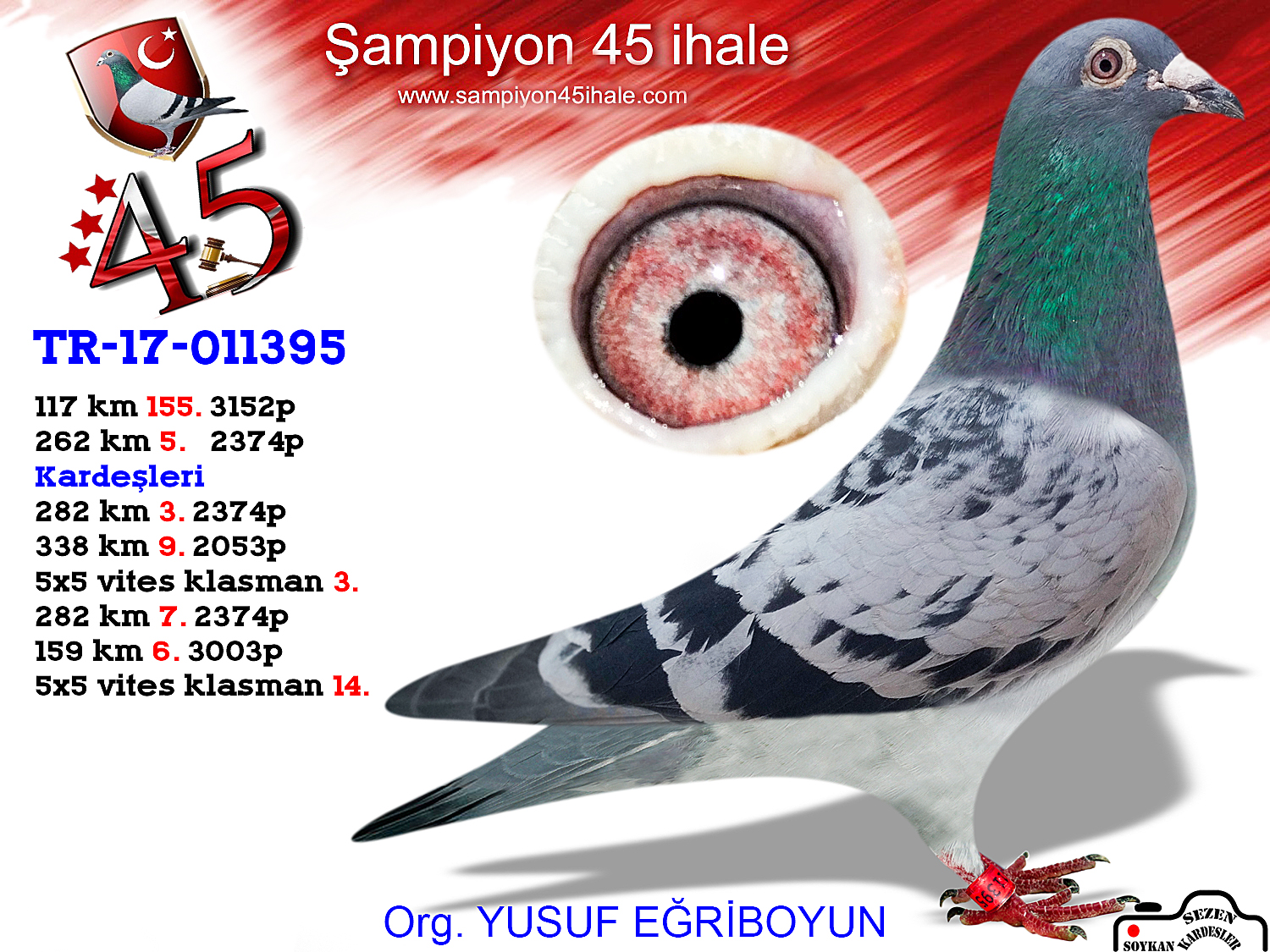 TR-17-011395 DİŞİ