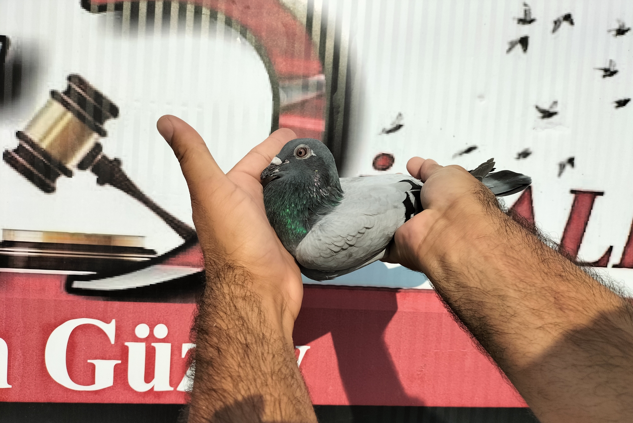 TR-10-04080 NECMİ ÇAKAR 