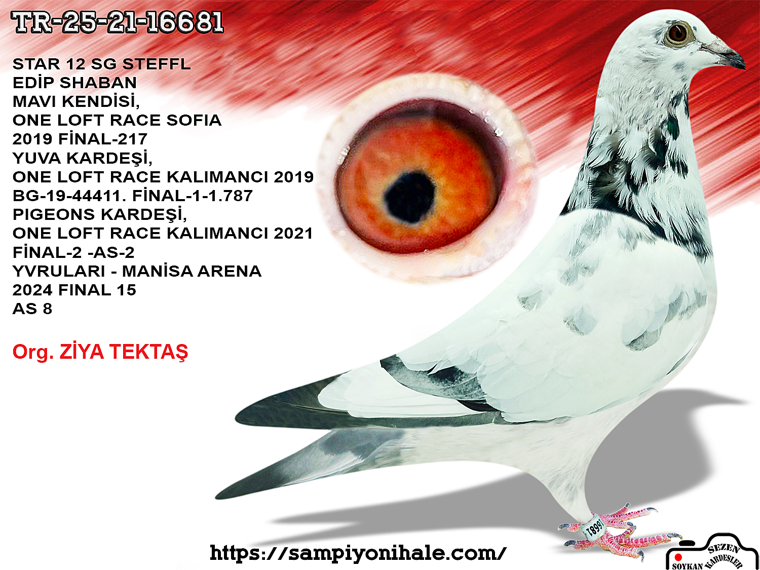 TR-25-21-16681 TO KALİMANÇİ COUPLE STAR 12 