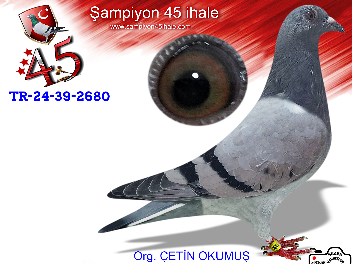 TR-24-39-2680 DİŞİ