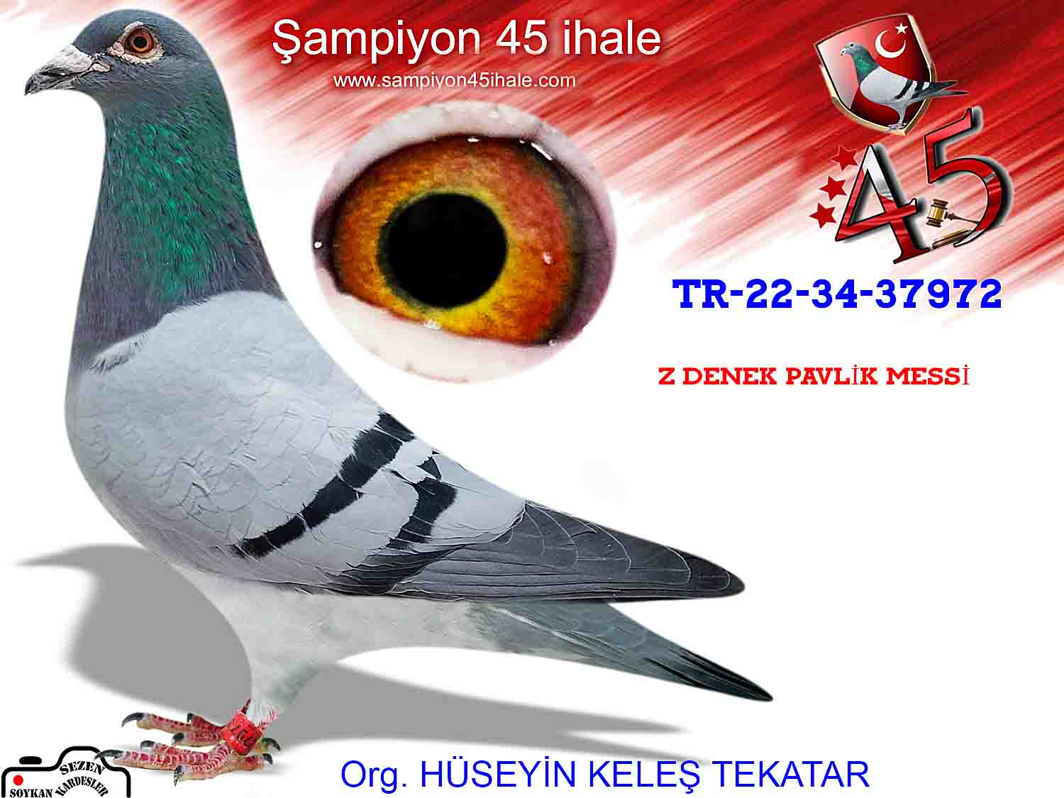 TR-22-34-37972 ERKEK 