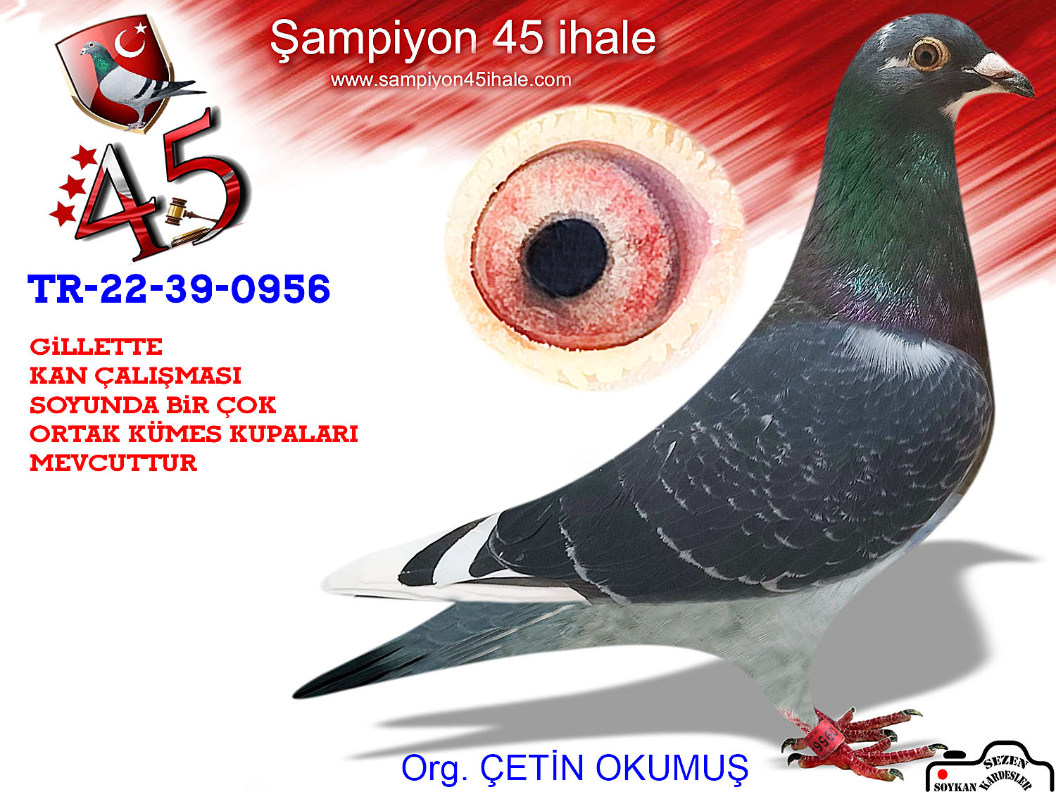 TR-22-39-0956 DİŞİ