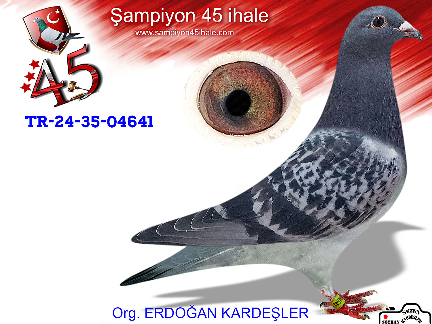 TR-24-35-04641 DİŞİ