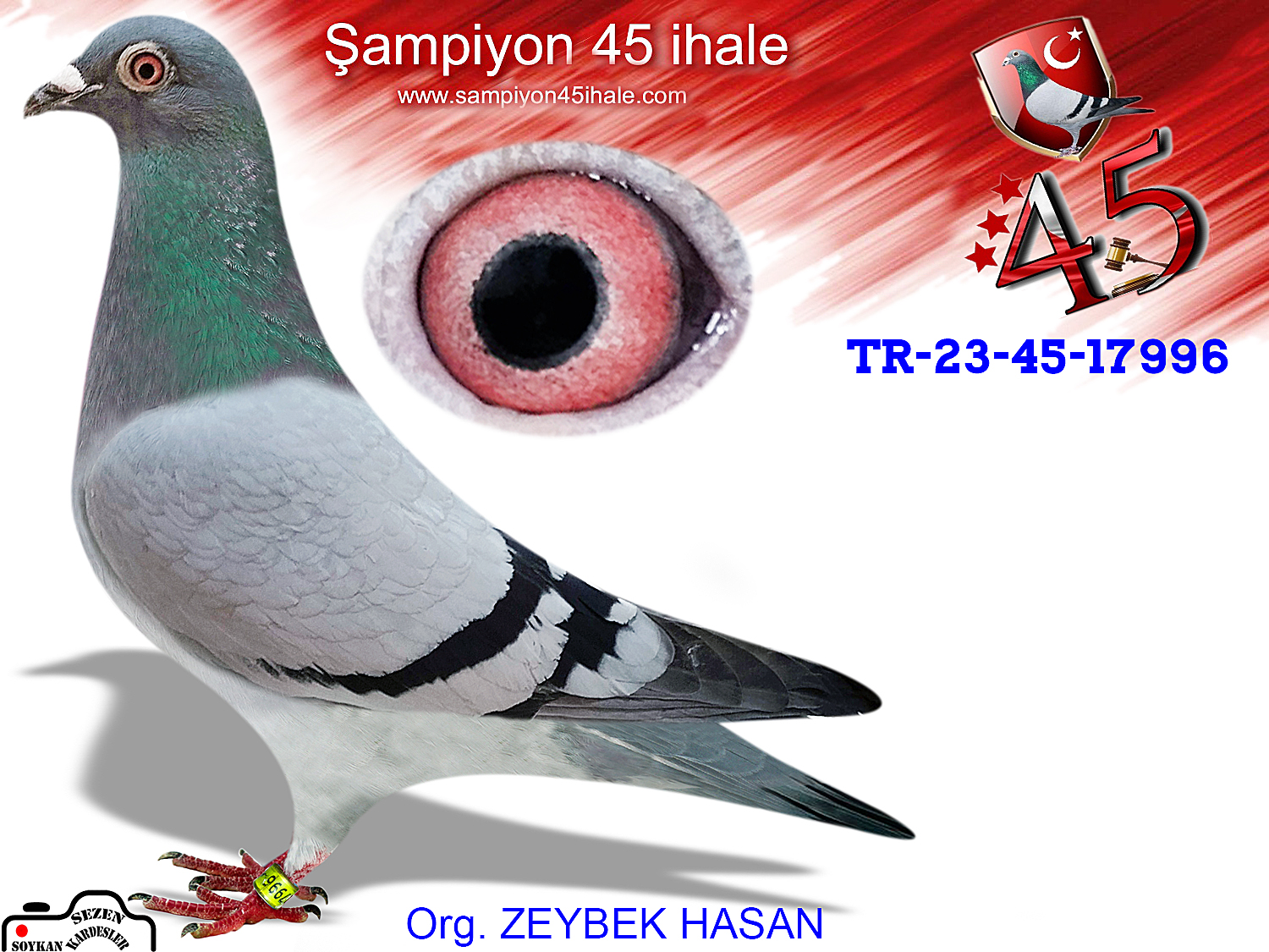 TR-23-117996 DİŞİ