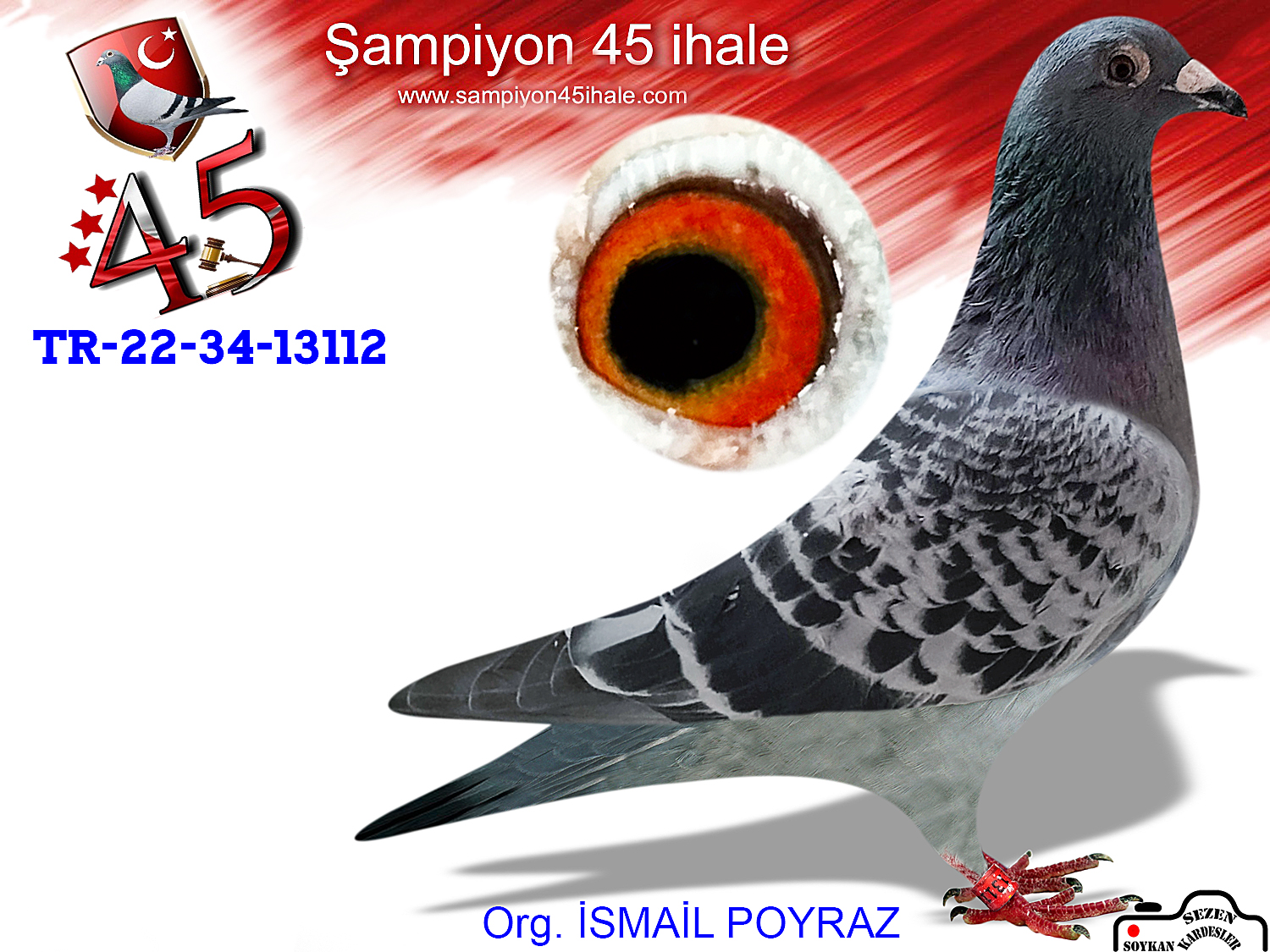 TR-22-34-13112  DİŞİ