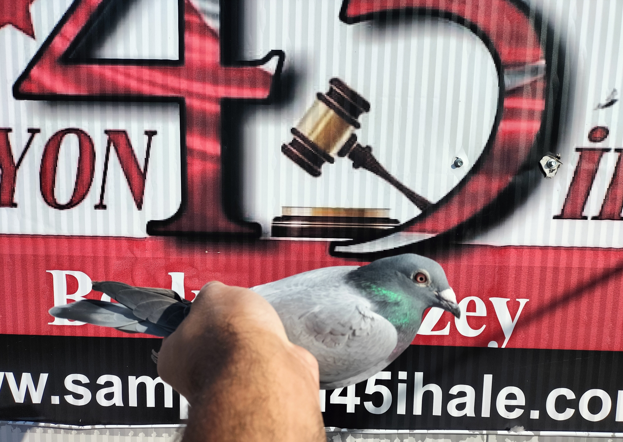 TR-23-45-00944 ORG ADNAN KÖSE