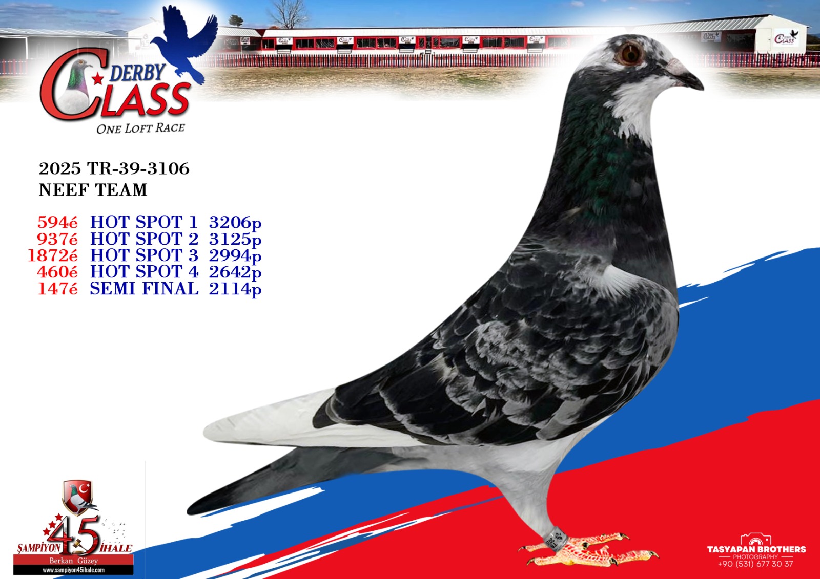 TR-39-3106 NEEF TEAM