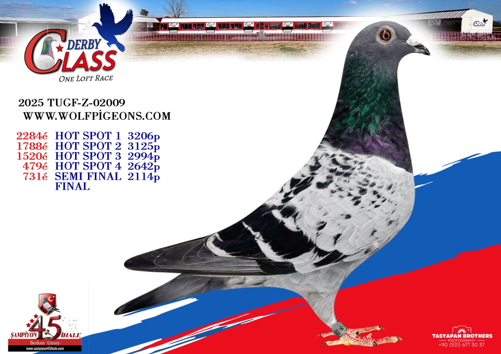 TUGF-Z-02009 WWW.WOLFPİGEONS.COM