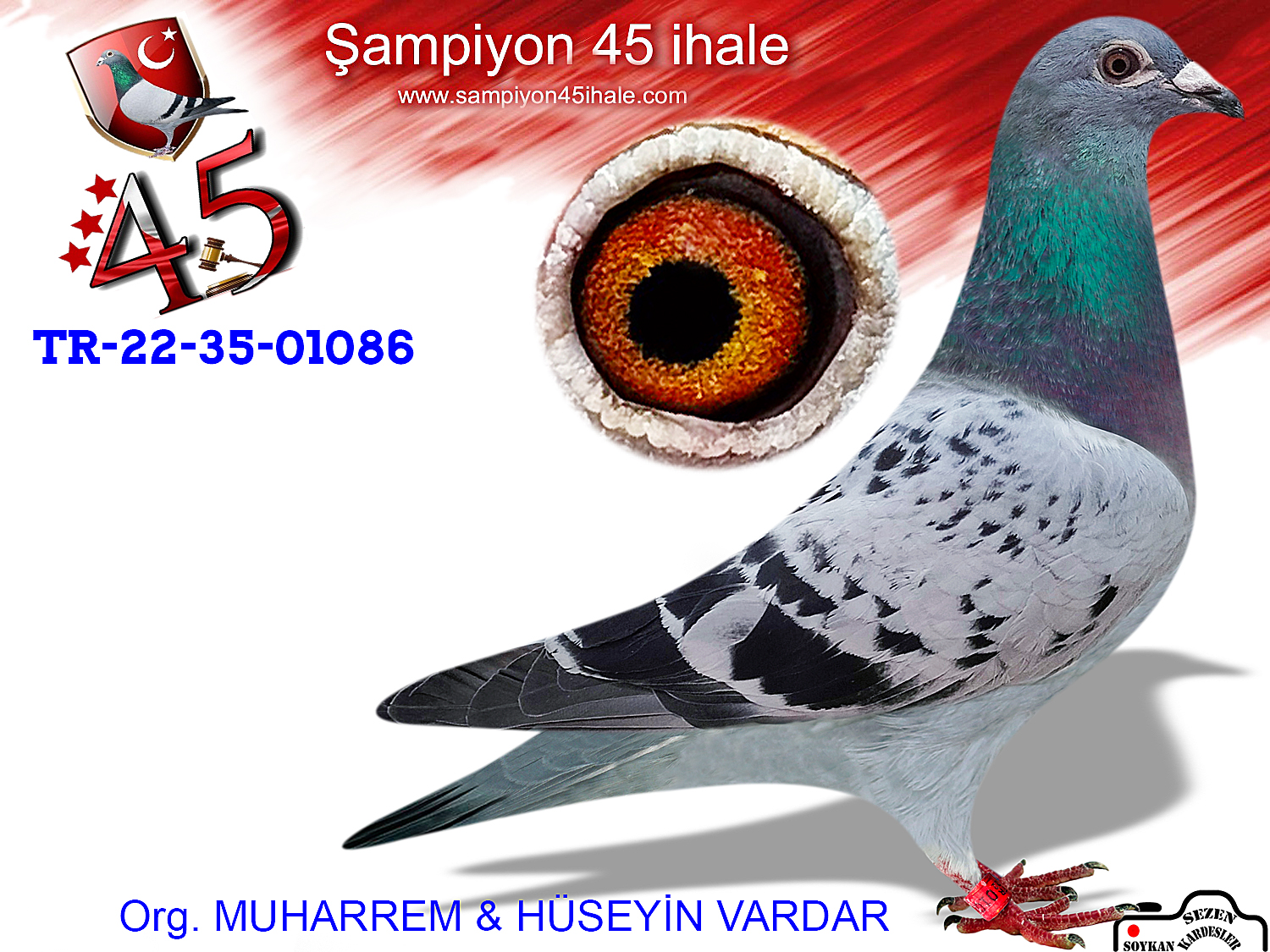 TR-22-35-01086 DİŞİ 