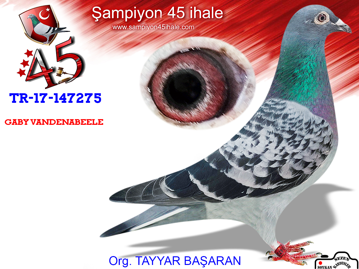 TR-17-147-275 DİŞİ