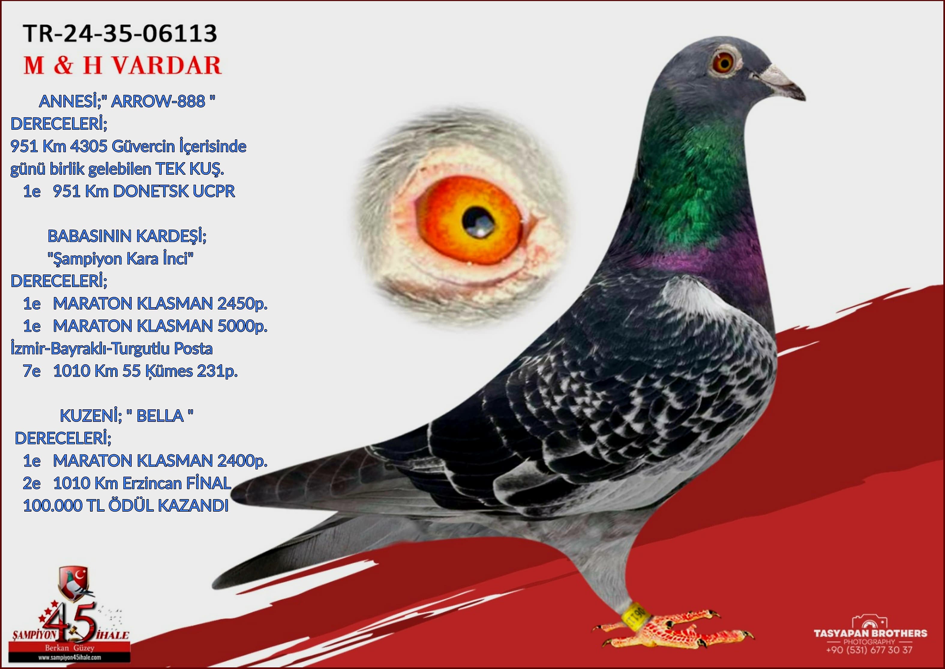 TR-24-35-06113 ARROW 888