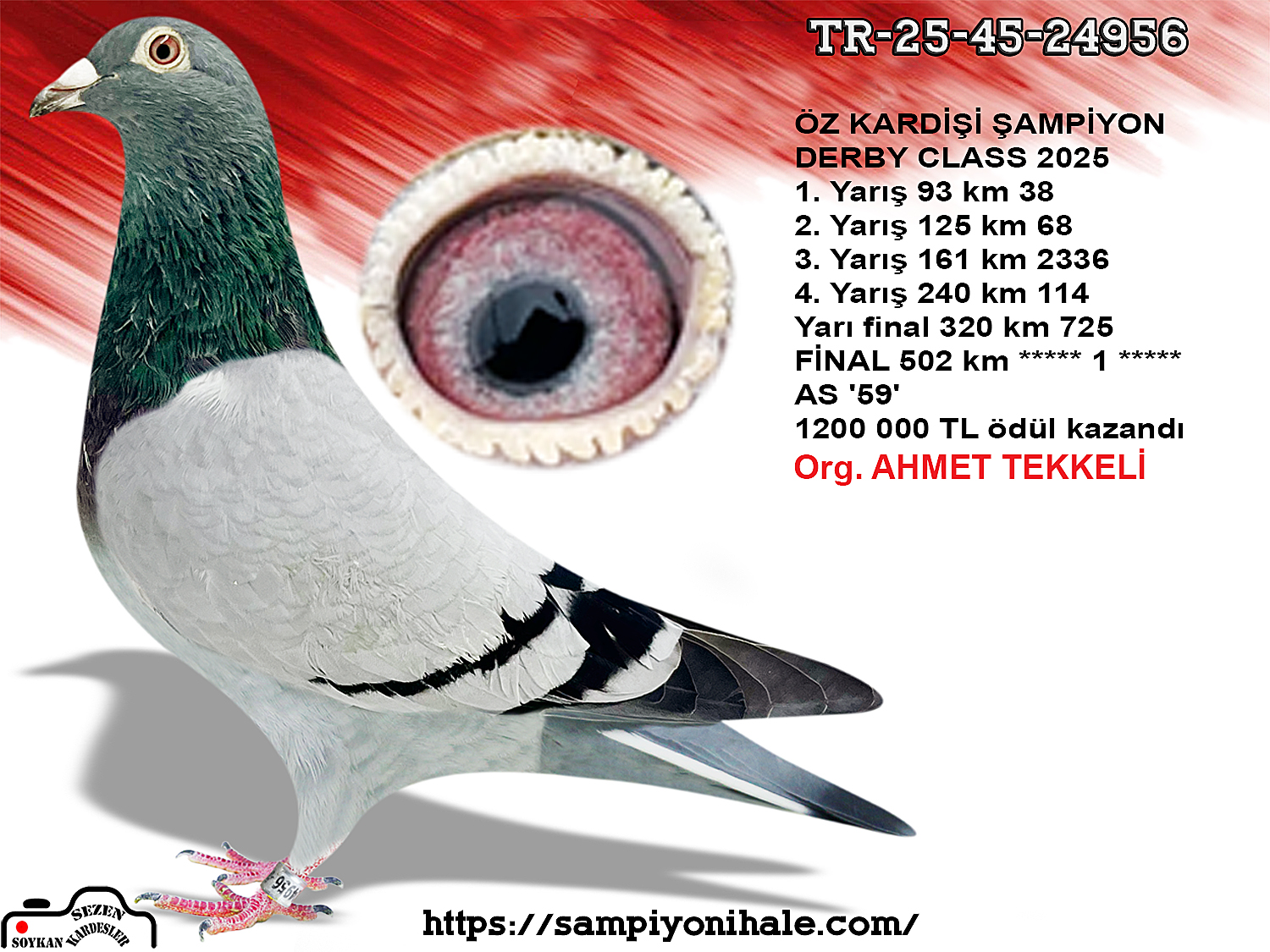TR-25-45-24956 ÖZ KARDEŞİ DERBY CLASS ŞAMPİYONU