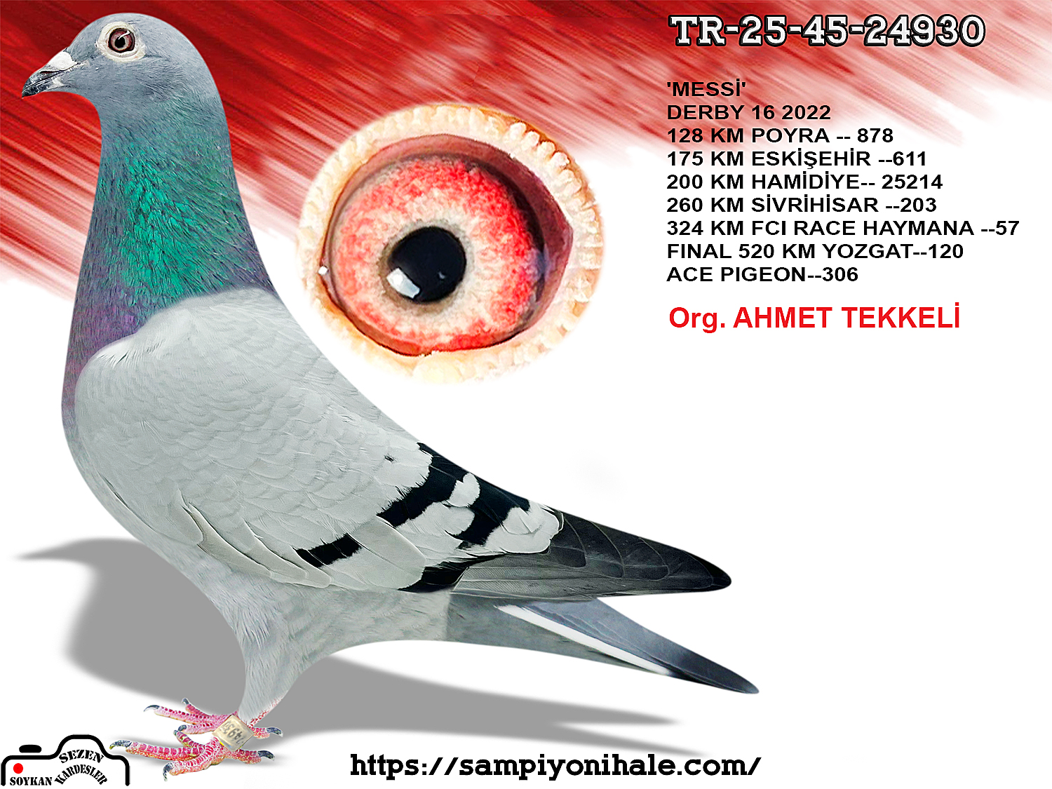 TR-25-45-24930 MESSİ Z DENEK PAVLİK 