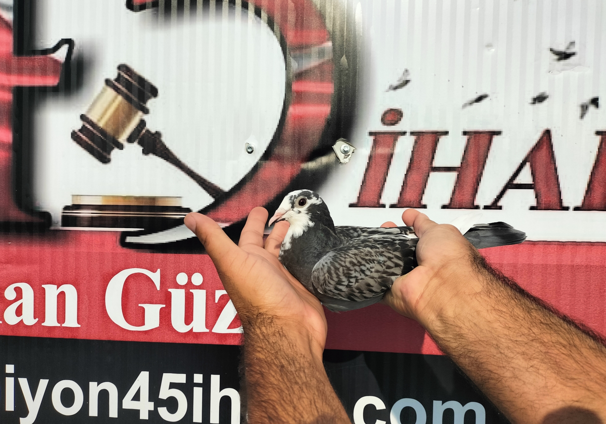 TR-10-04051 NECMİ ÇAKAR 