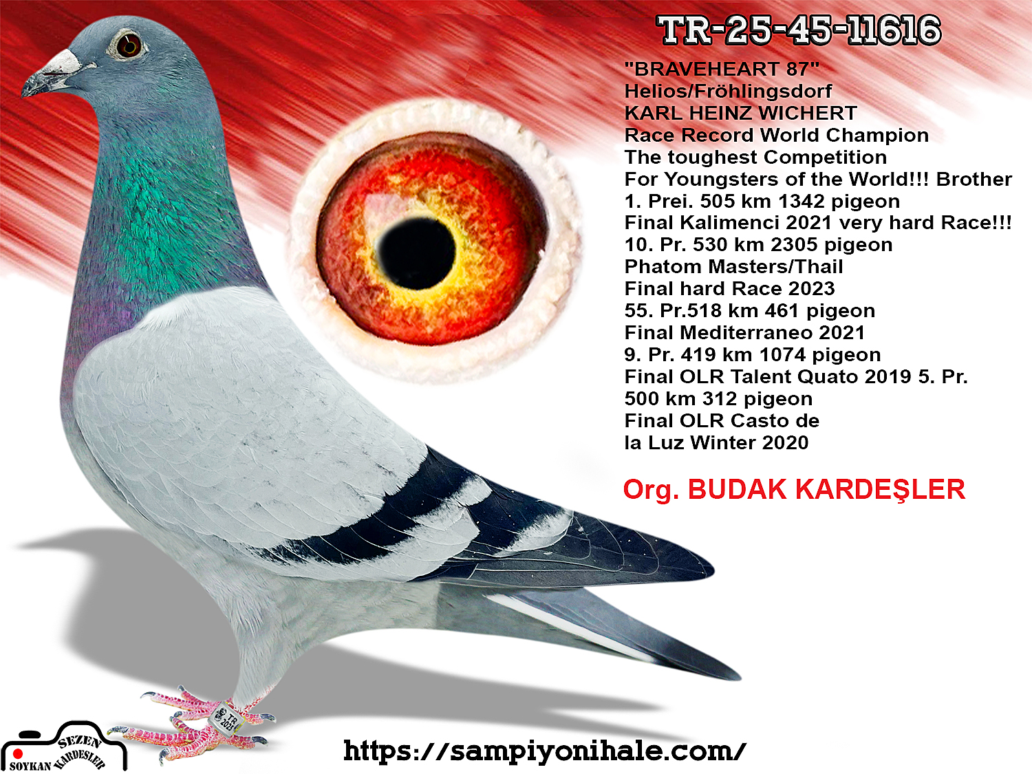 TR-25-45-11616 SON ROMARİO JOSEF MISS NIKKI SİMON WOLF 